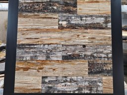 Brushed Petrified Wood Plank Flooring
